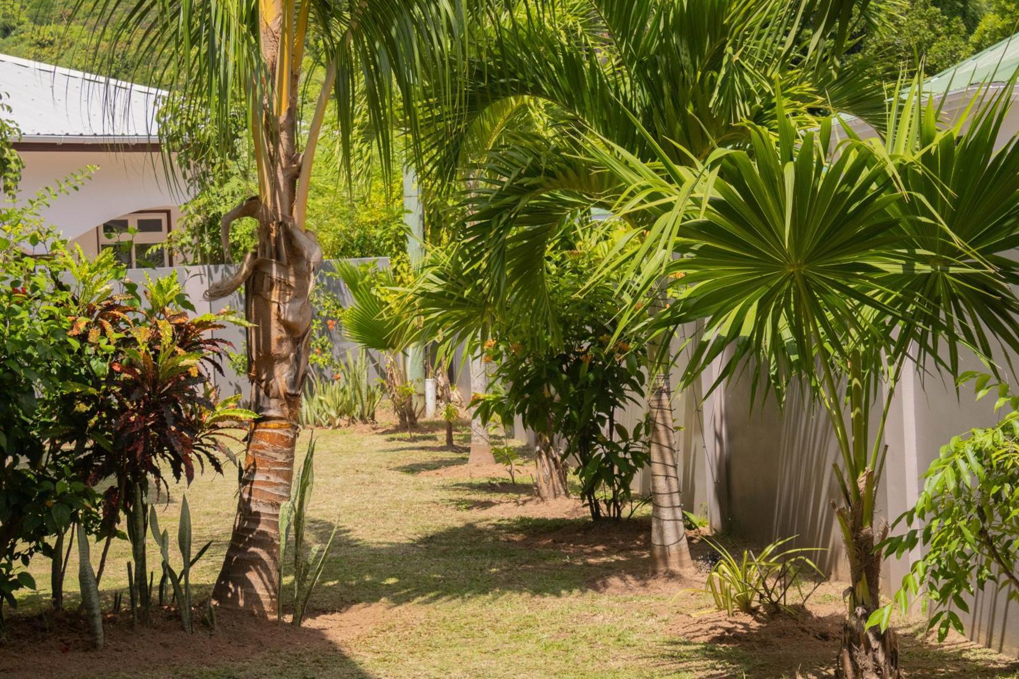 Palm Holiday Apartments Grand Anse  Exterior photo